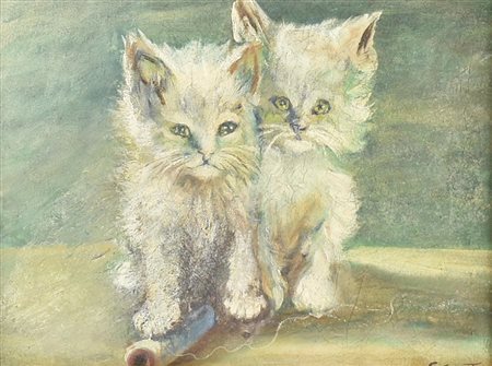 Cosentino GATTINI olio su tela, cm 30x40 firma