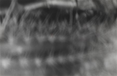 LUCA SCARABELLI  
Senza titolo