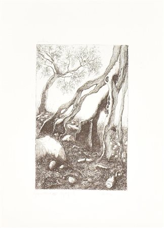 Mone Gigia ULIVO acquaforte su carta Fabriano, battuta cm 25x15,5, su foglio...