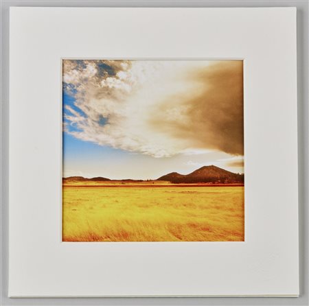 GUIDO ARGENTINI (n. 1966) - I stray often into dark solitudes.