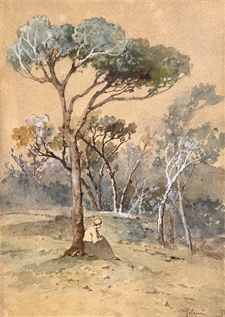 Petruolo Salvatore (Catanzaro 1857 - Napoli 1942)