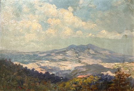 Petroni Andrea (Venosa, PZ 1863 - Roma 1943)