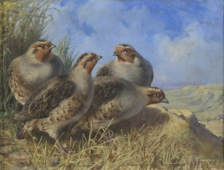 DIPINTO PERNICI DI DOMENICO GIACINTI