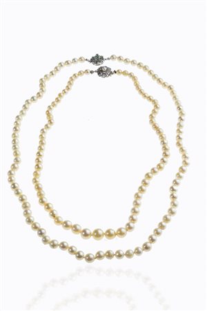 LOTTO DI DUE COLLANE