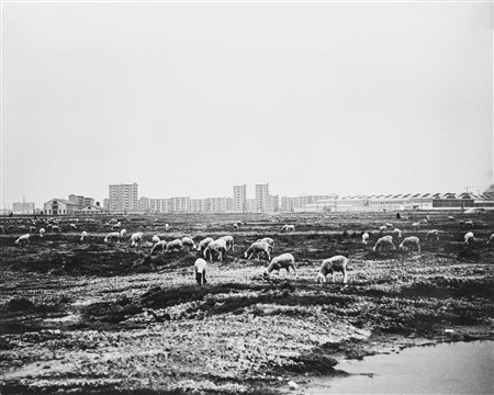 Virgilio Carnisio (1938)  - Milano, Via delle Forze Armate, 1962