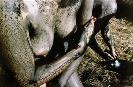 Sarenco Isaia Mabellini (1945-2017)  - Senza titolo, 1990s