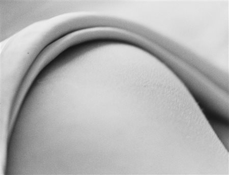 Rafael Navarro (1940)  - Tientos 9, 1995