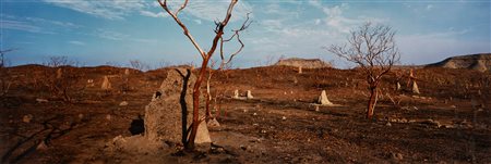 Wim Wenders (1945)  - In memory of Carlo Di Palma, 2004