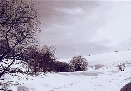 Abbas Gharib (1942)  - Composizione cinematica, 2012