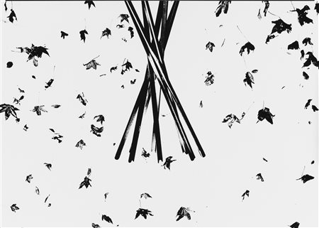 Lorenzo Cicconi Massi (1966)  - Dalla serie "Alta Gamma", 2016