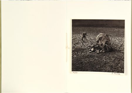 Roberto Kusterle (1940) L'IO SRADICATO stampa alla gelatina ai sali...