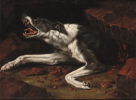 Van Boucle Pieter, Cane ferito