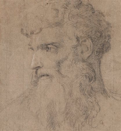 Scuola fiorentina del XVIII secolo Testa di uomo barbuto di profilo