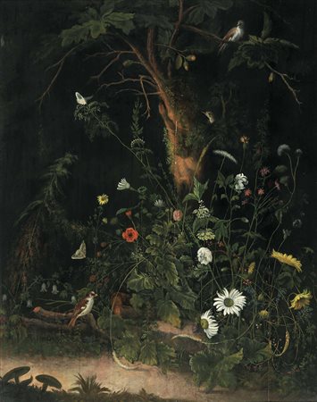 van Schrieck Otto Marseus nei modi di, Sottobosco