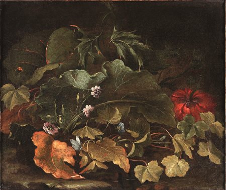 Scuola fiamminga del XVII secolo Sottobosco