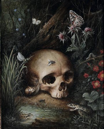 Scuola del nord Europa del XVII secolo Vanitas con teschio e sottobosco