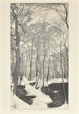 Federica Galli DALL'ALTRA PARTE BOSCO PISANI DOSSI incisione su carta,...