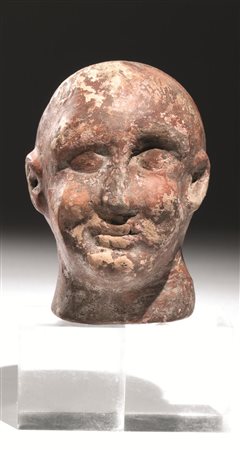 Testa di canopoMateria e tecnica: impasto camoscio rosato, ingubbiatura...