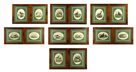 Scuola Francese del XIX secolo VOLATILI stampe, cm 30x44 ciascuna (14)