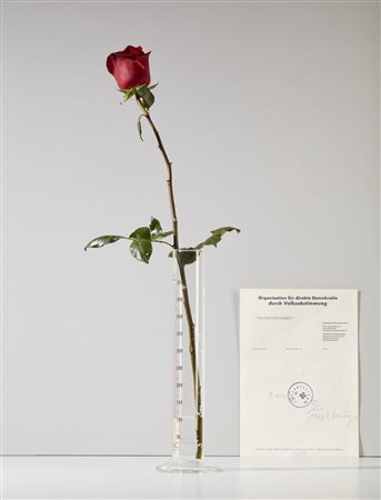 BEUYS JOSEPH (1921 - 1986) - Rose fur direkte Demokratie.