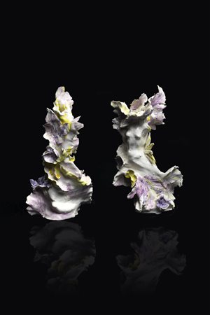 PIERO CERATO<BR>Torino 1946 - 2011<BR>a) "Ninfa"<BR>b) "Tronco fiorito "