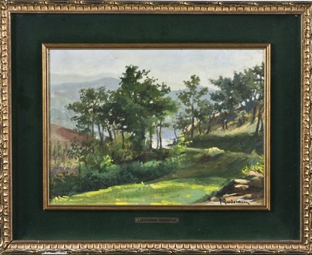 Fortunato Teodorani, Senza titolo