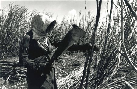 Sebastiao Salgado, Brazil Sugar Cane
