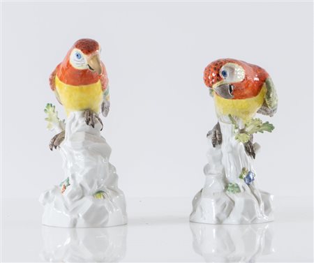 Coppia di pappagalli in porcellana policroma. Meissen, XX secolo. Cm 21x9,5x15