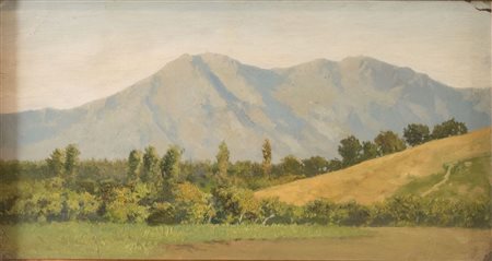 CORIOLANO VIGHI (Firenze 1852 - Bologna 1905). "Paesaggio marchigiano". Olio...