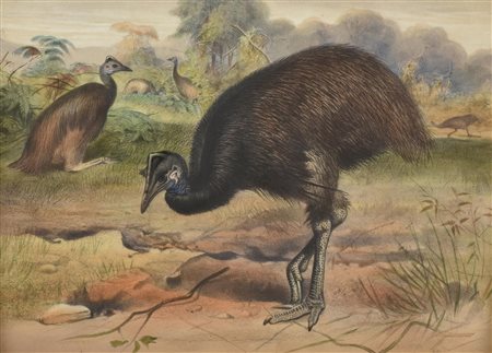Cosmarino Bennetti EMU' stampa su carta, cm 28x40,5 firma