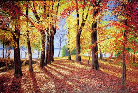 Sergio Zampieri, 'Ombre nel bosco', 2022