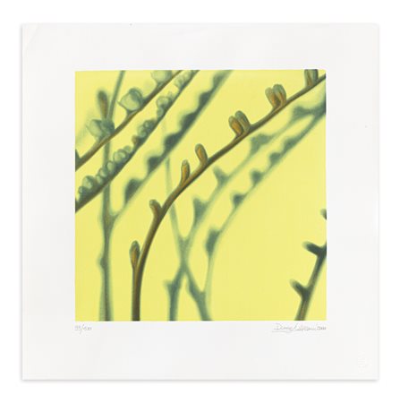 DANY VESCOVI (1969) - Senza Titolo, 2000