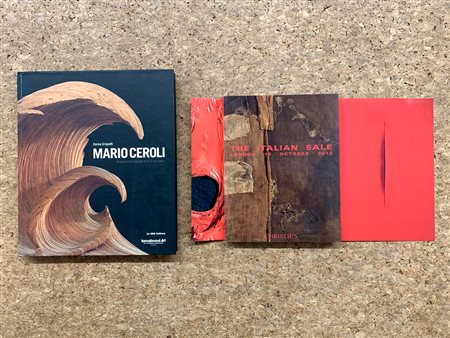 MARIO CEROLI - Analyse d'un langage et d'un parcours, 2010