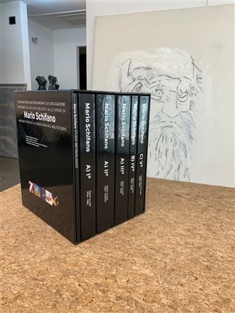 MARIO SCHIFANO - Studio metodologico riguardante la catalogazione informatica dei dati relativi alle opere di Mario Schifano presenti presso la Fondazione M.S. Multistudio