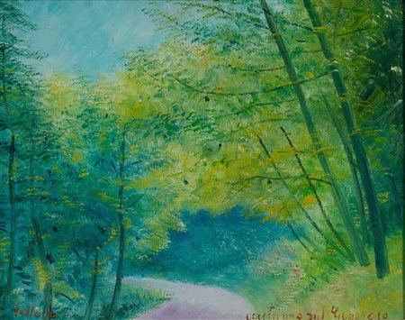 UMBERTO LILLONI Strada sul Generoso, 1968