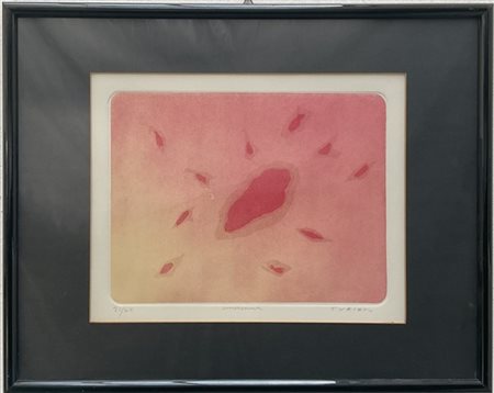 Giulio Turcato "Senza titolo" 
acquaforte e acquatinta a colori
lastra cm 29x39