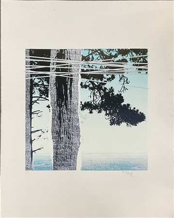 Cartella contenente quattro serigrafie di Nani Tedeschi (cm 88x70) firmate e un