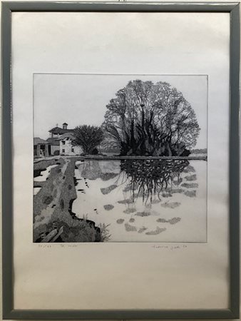 Federica Galli "Il nido" 1987
acquaforte
(lastra cm 39x39; foglio cm 68,5x49)
nu