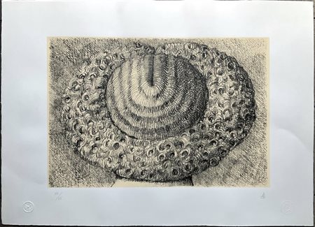 Domenico Gnoli (After) "Indéfrisable" 1963
litografia a colori
cm 50x70
tiratura