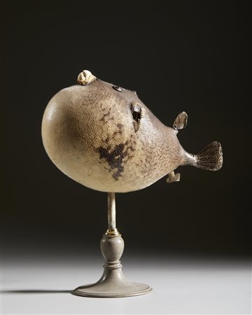  . - Pesce palla essiccato .