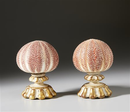  . - Coppia di ricci su basi .