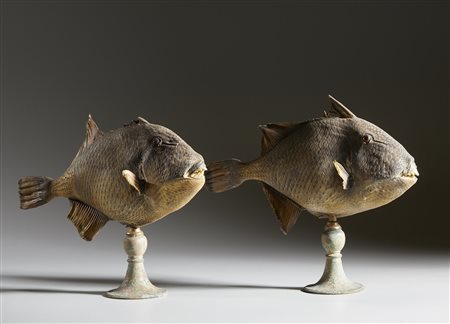  . - Coppia di pesci balestra .