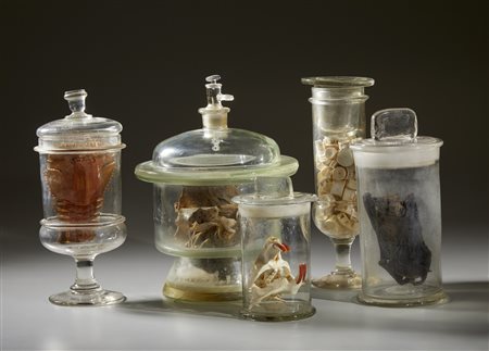  . - Cinque vasi contenenti reperti anatomici .