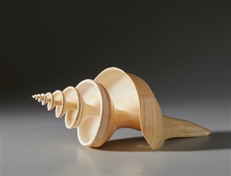  . - Grande conchiglia lavorata .