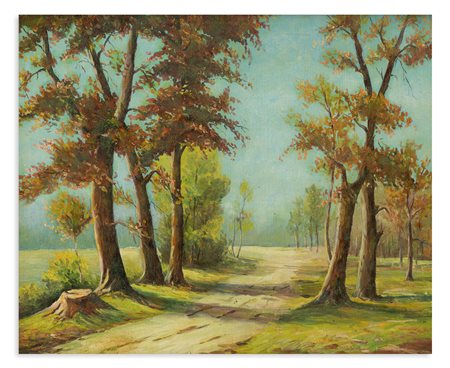 ERMES CARNAGHI - Senza Titolo