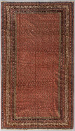 # Tappeto Serabend<br>cm. 159x278