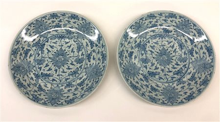 Cina coppia di piatti bianchi e blu decorati con 