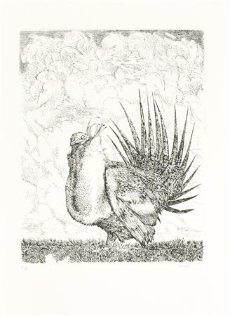 Abacuc VOLATILE incisione su carta, battuta cm 31x24,5, su foglio cm 50x35;...