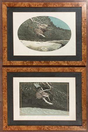 Giannini due litografie a colori raffiguranti volatili
cm 48x68,5
Numerate, firm