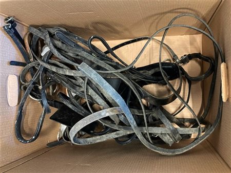 Lotto composto da vari finimenti per cavalli di misure e materiali differenti (